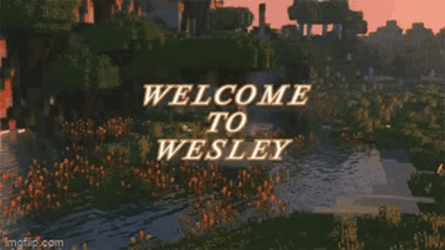 a minecraft scene with the words welcome to wesley written on it