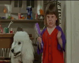 Dog GIF - Look Whos Talking Now Angry Cute GIFs