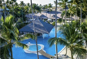 an aerial view of a large swimming pool surrounded by palm trees