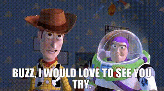 Toy Story Woody GIF - Toy Story Woody Buzz I Would Love To See You Try GIFs