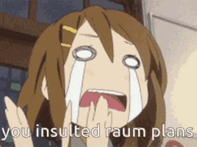 a cartoon of a girl crying with the words " you insulted raum plans " below her