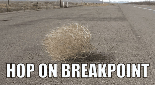 Hop On Hop On Breakpoint GIF - Hop On Hop On Breakpoint Hop On Ghost Recon GIFs
