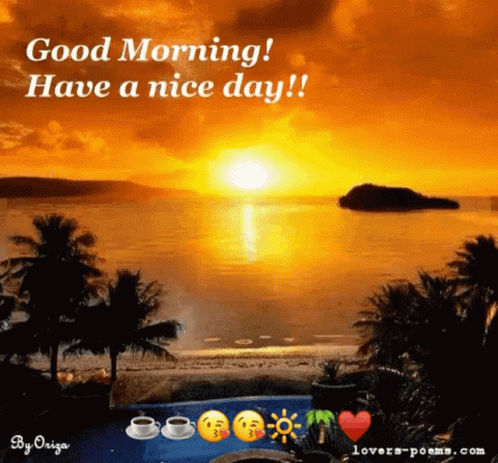 Good Morning Have A Nice Day GIF - Good Morning Have A Nice Day Sunrise GIFs