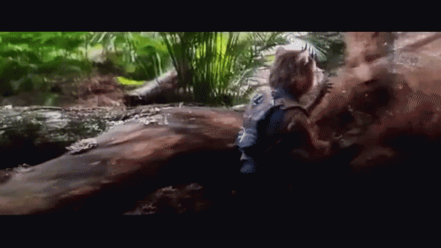 Groot Disappear GIF - Groot Disappear Rocket GIFs