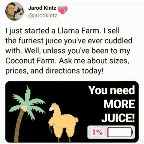 a cartoon of a llama and a palm tree next to a message that says " you need more juice "