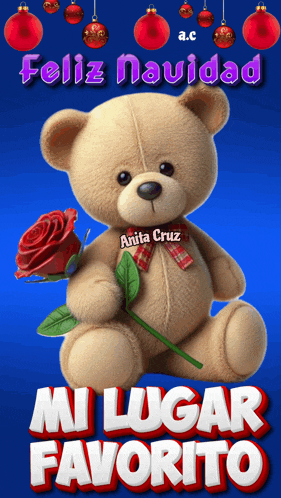 a teddy bear with the name anita cruz on it holding a red rose