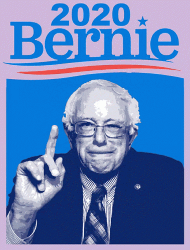 Bernie Volunteer GIF - Bernie Volunteer 2020 GIFs