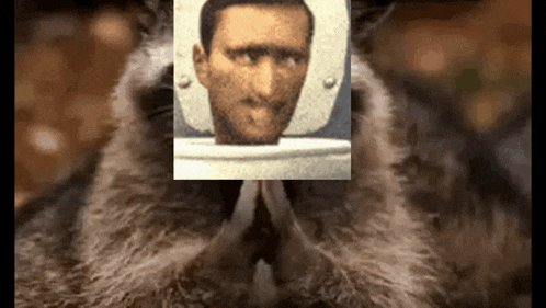 a close up of a cat with a picture of a man behind its eyes