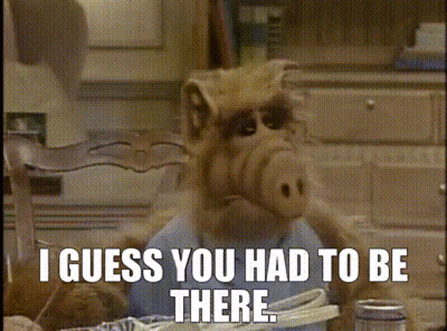 alf-i-guess-you-had-to-be-there.gif
