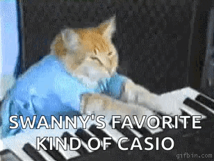 a cat wearing a blue shirt is playing a piano .
