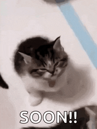 a kitten is sitting on a bed with the words `` soon ! '' written on it .