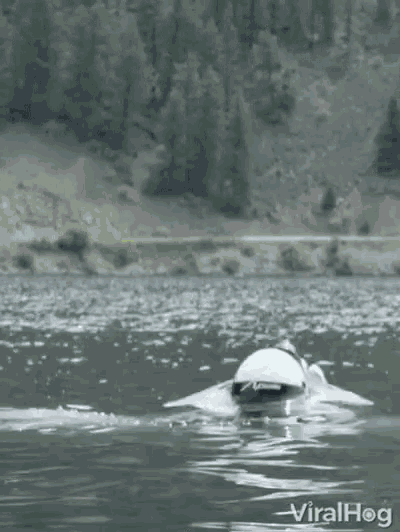 a person in a helmet is swimming in a lake with the words viralhog on the bottom right