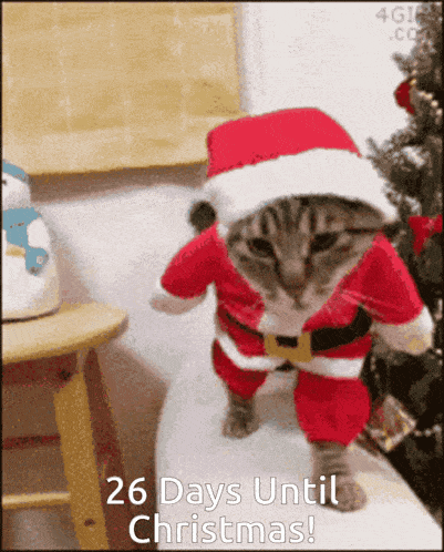 26 Days Until Christmas GIF - 26 Days Until Christmas GIFs
