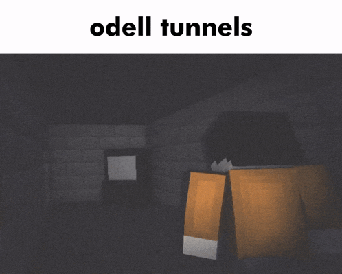 a minecraft character in a dark room with the words odell tunnels below him