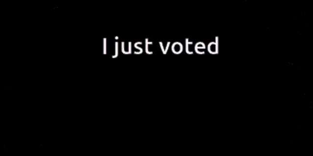 Voted I Just Voted GIF - Voted I Just Voted GIFs