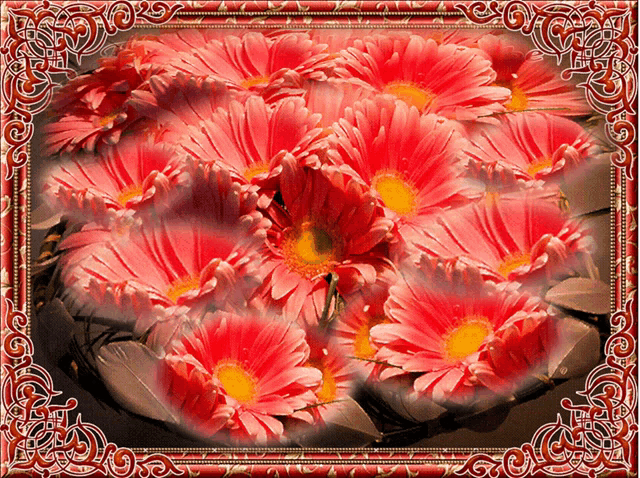 a picture of a bunch of pink flowers with a red frame