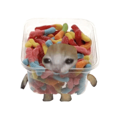 Candycat GIF - Candycat GIFs