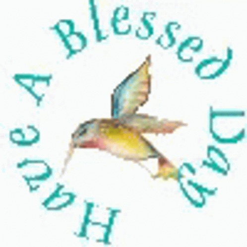Blessings Have A Blessed Day GIF - Blessings Have A Blessed Day Bird GIFs
