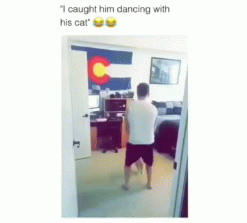 Cat Dancing GIF - Cat Dancing Pillada GIFs