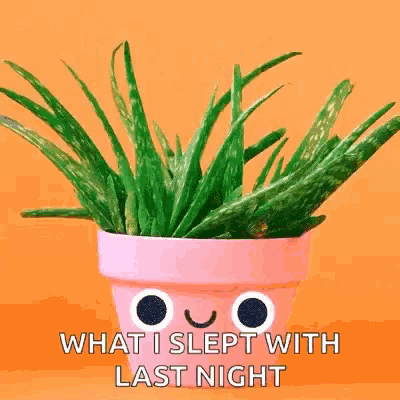an aloe vera plant in a pink pot with a face drawn on it and the words `` what i slept with last night '' .