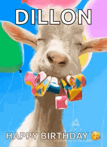 a goat with balloons in its mouth and the words `` dillon happy birthday '' .
