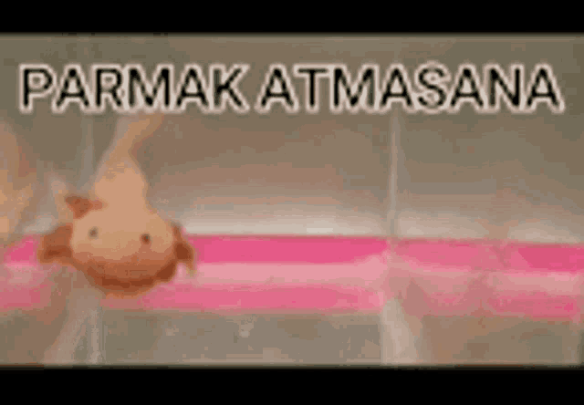 a doll is hanging upside down with the words parmak atmasana in the background .
