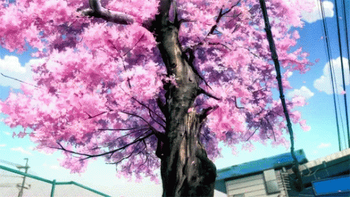 National Pink Day Fall GIF - National Pink Day Fall Cherry Blossom GIFs