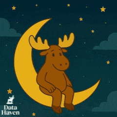 a moose is sleeping on a crescent moon with data haven in the corner