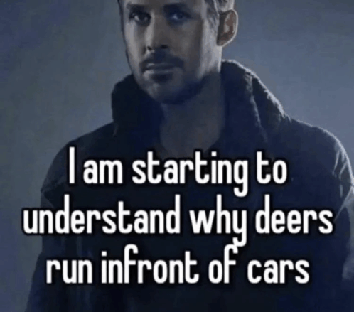 Deer Cars GIF - Deer Cars Death GIFs