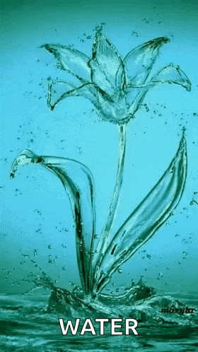 a flower made out of water is splashing out of the water .