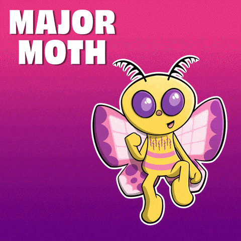 a cartoon of a moth with the words major moth below it