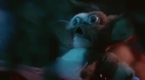 Driving Gizmo GIF - Driving Gizmo Gremlins GIFs
