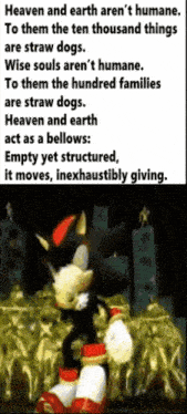 a picture of shadow the hedgehog with a caption that says heaven and earth aren t humane
