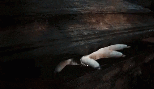 Coffin Vampire GIF - Coffin Vampire Let Me Out GIFs