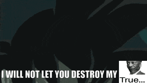 a picture of a cartoon character with the words " i will not let you destroy my true "