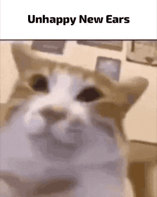 a close up of a cat 's face with the words `` unhappy new ears '' below it .