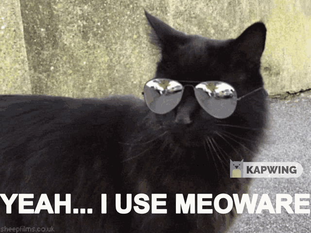 Meoware Csgo GIF - Meoware Csgo Cat GIFs