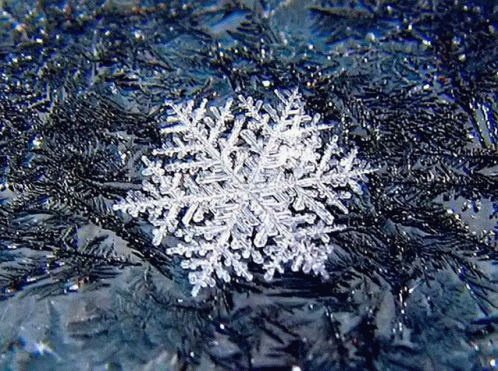 Snowflake GIF - Snowflake GIFs
