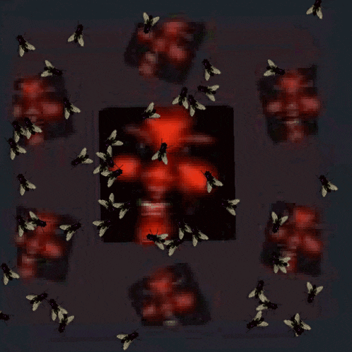 a picture of a face with flies around it