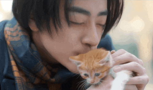 a man is kissing a small orange kitten on the nose