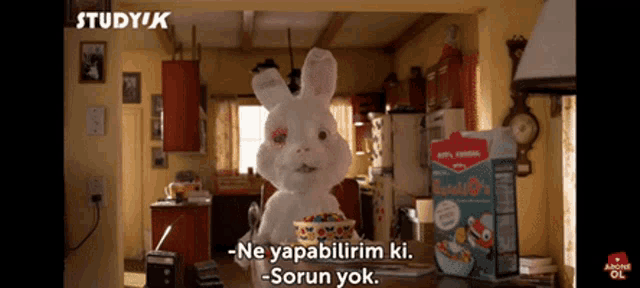 a stuffed bunny is standing in a kitchen next to a box of studyix cereal