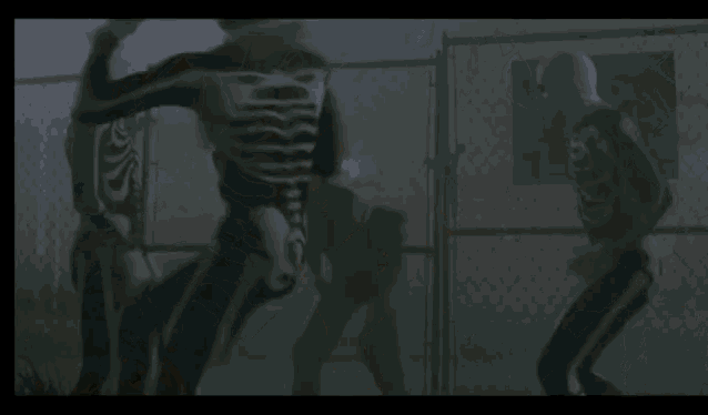 a group of people dressed as skeletons are standing next to each other in a foggy room .