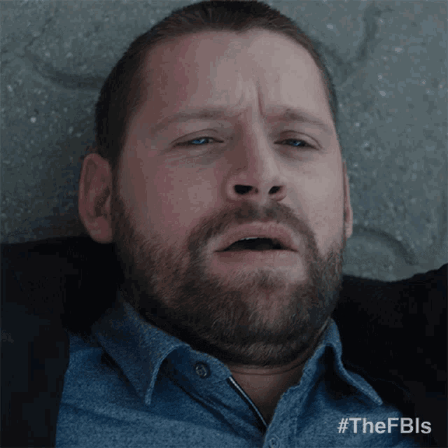 a man with a beard is laying on the ground with the hashtag #thefbls on the bottom