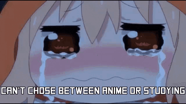 a cartoon of a girl crying with the words " can 't chose between anime or studying " above her