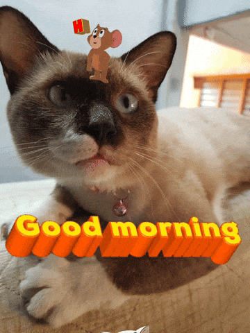 a cat with a mouse on its head and the words " good morning " below it