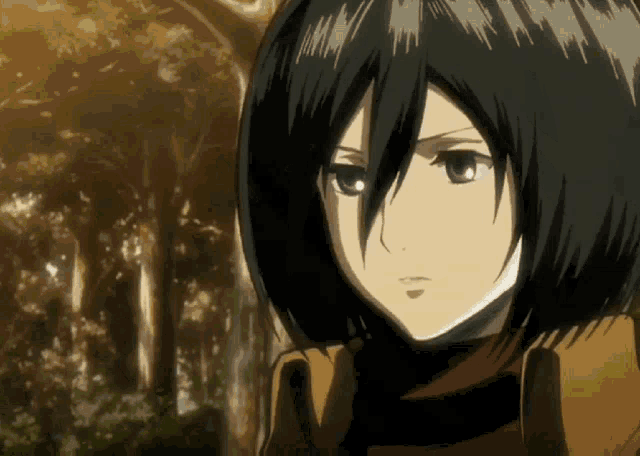 Anime Attack GIF - Anime Attack On GIFs