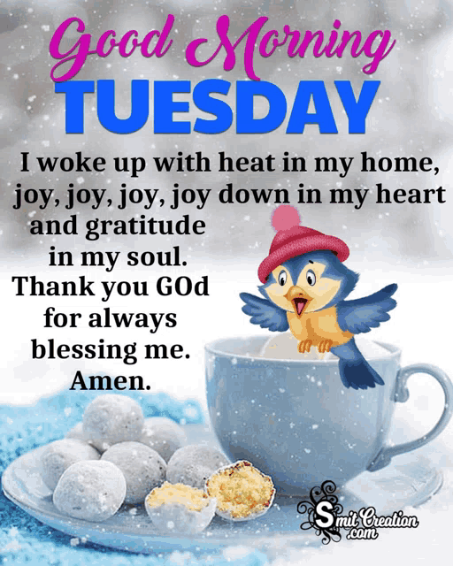a good morning tuesday message with a blue bird on a cup of coffee