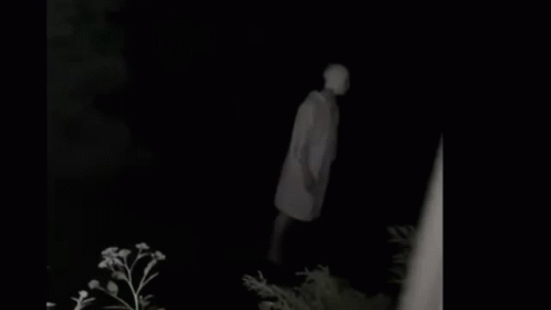Gale Scary GIF - Gale Scary GIFs