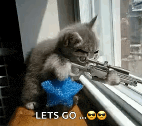 a kitten is sitting on a window sill holding a gun and a star toy .