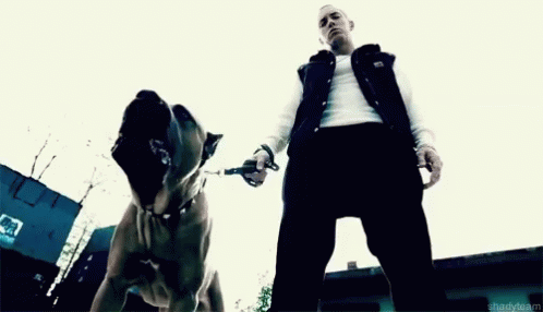 Eminem Dog GIF - Eminem Dog Barking GIFs